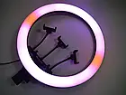Професійна кільцева лампа RGB MJ-18 45 см на 3 кріплення, пульт, батарейки, фото 3