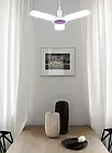 Світлодіодний світильник з приманкою для комах (знищувач комах) Mira 45W Білий, фото 3