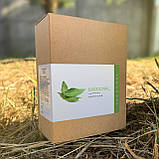 Як Kaddonal допоміг мені повернути стосунки на світлий бік, фото 2