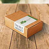 Nikovitix (Ніковітікс) капсули для підтримки організму при відмові від куріння, фото 3