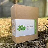 Nikovitix (Ніковітікс) капсули для підтримки організму при відмові від куріння, фото 4