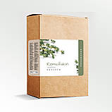 Я не геній. Просто почала краще запам’ятовувати, фото 2