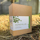 Я не геній. Просто почала краще запам’ятовувати, фото 4