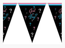 Паперова гірлянда принт "Girl or Boy"