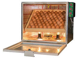 Інкубатори побутові