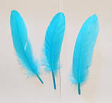 Пір'я гусака Натуральне перо Колір Бірюзово блакитний 13-20 см, фото 3