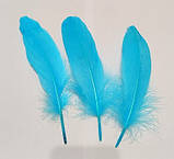 Пір'я гусака Натуральне перо Колір Бірюзово блакитний 13-20 см, фото 4