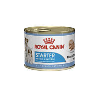 Влажный корм для собак Роял Канин консервы паштет Royal Canin Starter Mousse Mother BabyDog 195г