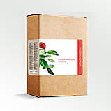 Lowomalon (Ловомалон) - капсули для підтримки сечовидільної системи, фото 2