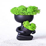 Декоративні кашо