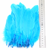 Перья гуся Натуральное перо Цвет Бирюзово голубой 13-20см