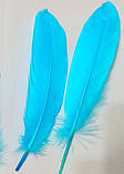 Пір'я гусака Натуральне перо Колір Бірюзово блакитний 13-20 см, фото 5