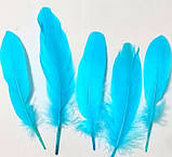 Пір'я гусака Натуральне перо Колір Бірюзово блакитний 13-20 см, фото 6