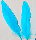 Пір'я гусака Натуральне перо Колір Бірюзово блакитний 13-20 см, фото 7