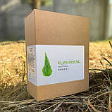 Як я перестала ховати шию: мій досвід натуральної підтримки шкіри, фото 4