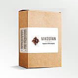 Vikostan (Вікостан) – краплі для підтримки функцій передміхурової залози, фото 2