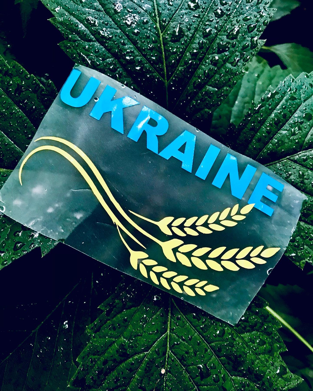 Патріотичні наліпки синьо-жовті Ukraine Україна з Колосками Пшениці на авто, скло, шафу, ноутбук і таке інше, 15х9 см, синьо-жовт