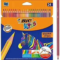 Олівці кольорові BIC Evolution Stripes 24 кольори