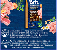 Brit Premium Adult M Chicken. Британ преміум, корм з куркою для собак середніх порід, 1 кг (розвіс). 526376, фото 5