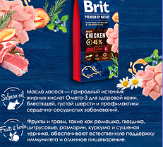 Brit Premium Adult L Chicken, 1 кг (розвіс). Брит Преміумкор із куркою для собак великих порід. 526468, фото 5