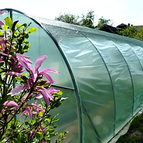 Теплиці з плівкою