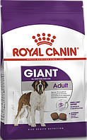 Royal Canin Giant Adult 15кг- корм для собак гигантских пород