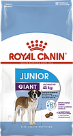 Royal Canin Giant Junior 15кг корм для щенков гигантских пород старше 8 месяцев
