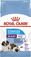 Royal Canin Giant Starter 1кг - корм для щенков до 2-х месяцев, беременных и кормящих сук гигантских пород
