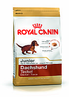 Royal Canin Dachshund Junior 1,5кг- корм для щенков породы такса