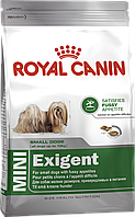 Royal Canin Mini Exigent 2кг- корм для собак мини пород привередливых в питании