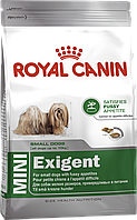 Royal Canin Mini Exigent 0,8кг- корм для собак мини пород привередливых в питании