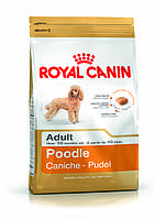 Royal Canin Poodle Adult 1,5кг- корм для собак породы пудель