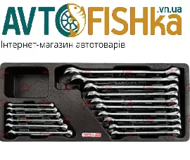 Набір ключів ріжково-накидних 6-24 мм 16 шт (у ложементі, тип В), фото 1