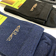Чоловічі високі бавовняні шкарпетки Elite Krokus 39-42, фото 3
