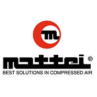 Гарантійний набір для компресорів Mattei IF57A24889 (30002021)