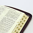 Шкіряна Біблія українською мовою Івана Огієнка з пошуковими індексами на блискавці великого формату 17*24 см, фото 4