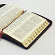 Шкіряна Біблія українською мовою Івана Огієнка з пошуковими індексами на блискавці великого формату 17*24 см, фото 5