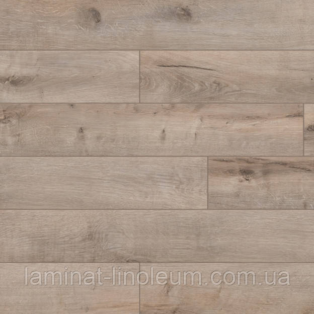 Ламінат Classen Expert, Дуб Трейден 51600, фаска 4V, клас 33, товщина 8 мм, фото 1