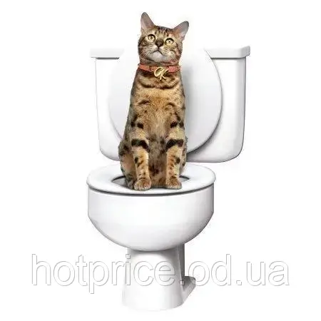 Набор для приучения кошек к туалету CitiKitty Cat Toilet, Накладки на унитаз для домашних питомцев [ОПТ] - фото 3 - id-p1645018421