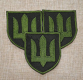 Шеврон "Тризуб - олива на оливі"  70х80мм, Сухопутні війська ЗСУ