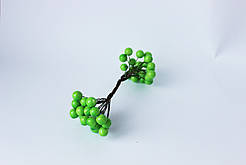 Глянцева  салатова калина декоративна, діаметр 12