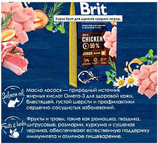 Brit Premium Junior М Chicken, 1 кг (розвіс). Брит Преміумкор із куркою для цуценят середніх порід. 526338, фото 4