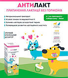 Раствор для перорального применения БиоТестЛаб Антилакт 7 мл, фото 2