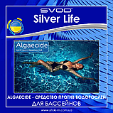 Срібний бактерицидний комплекс для басейнів SVOD Silver Life 2x3000 мл + Algaecide 1000 мл у подарунок, фото 5