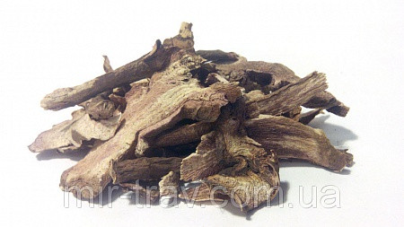 Півонія корінь (мар'їн корінь)