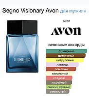 Туалетна вода для Нього 75мл Avon Segno Visionary