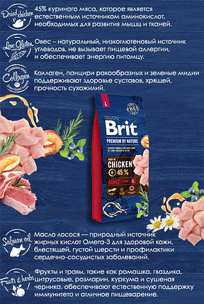 Brit Premium Adult L Chiken, 15 кг. Бріт Преміум сухий корм з куркою для собак великих порід. 526468, фото 3