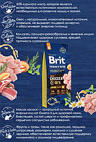 Brit Premium Junior М Chicken, 15 кг. Брит Преміумкор із куркою для цуценят середніх порід. 526338, фото 4