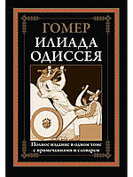 Илиада. Одиссея. Гомер. Библиотека мировой литературы