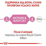 Влажный корм для новорожденных котят Royal Canin Mother & Babycat Cans 195 г, фото 7